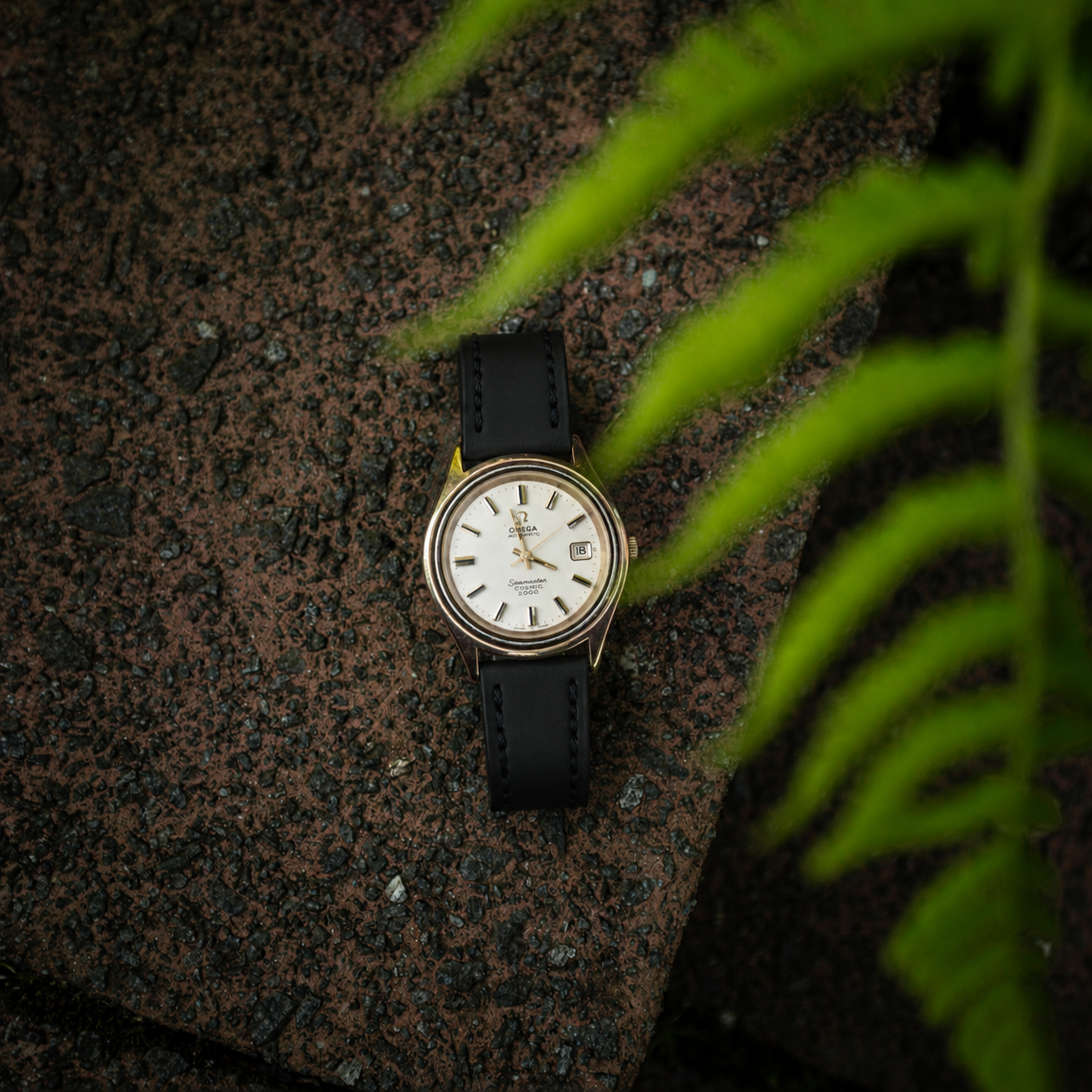 Chieftain Watch Strap