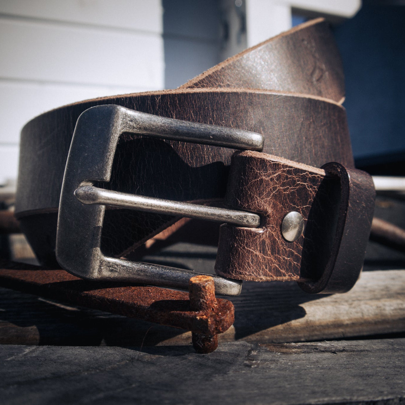 Walnut - Outback Belt