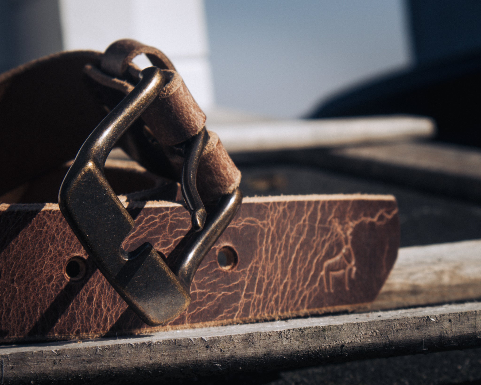 Birch - Outback Belt