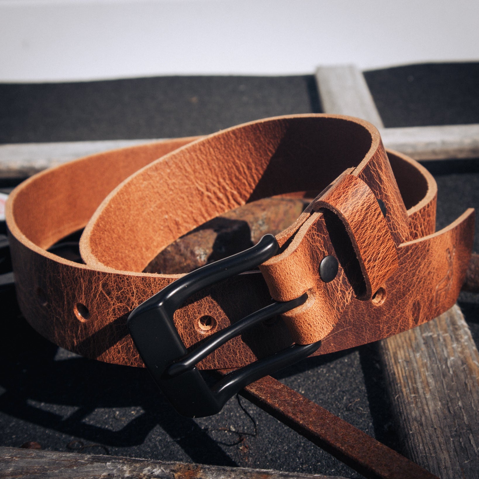 Acorn - Outback Belt
