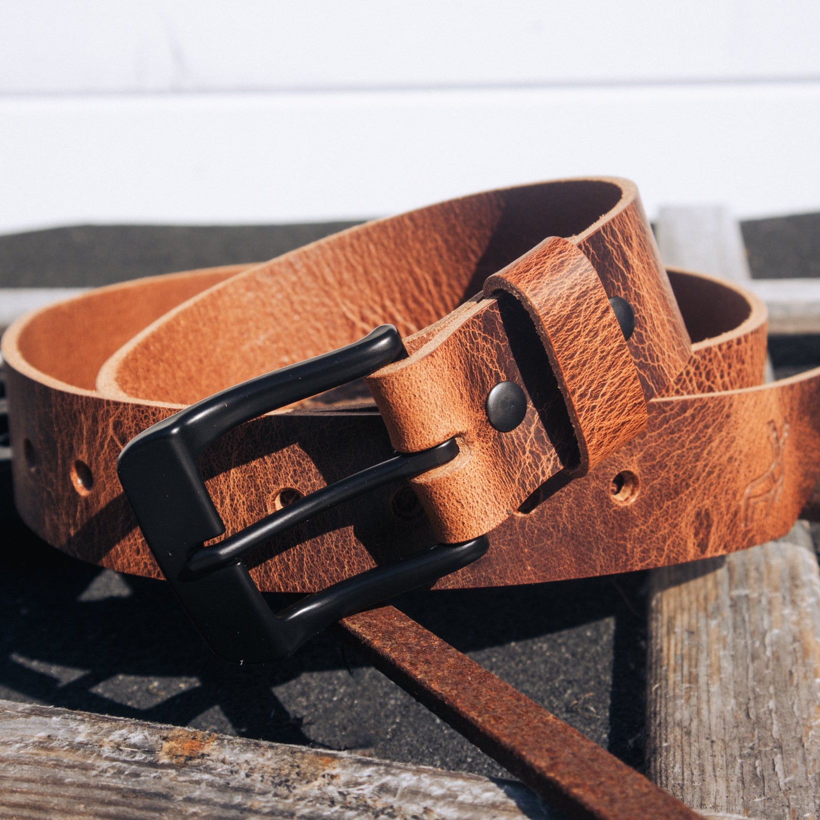 Acorn - Outback Belt