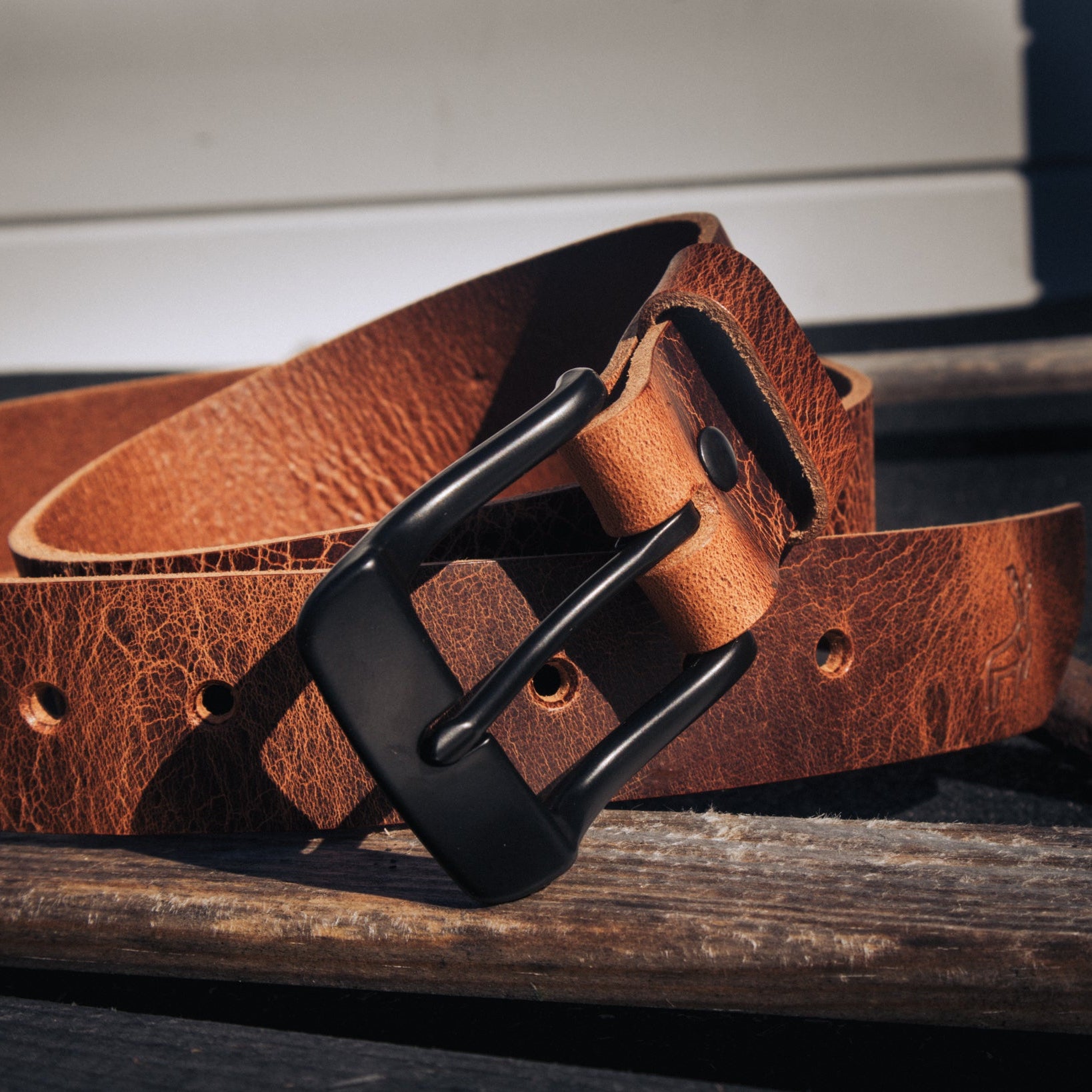 Acorn - Outback Belt