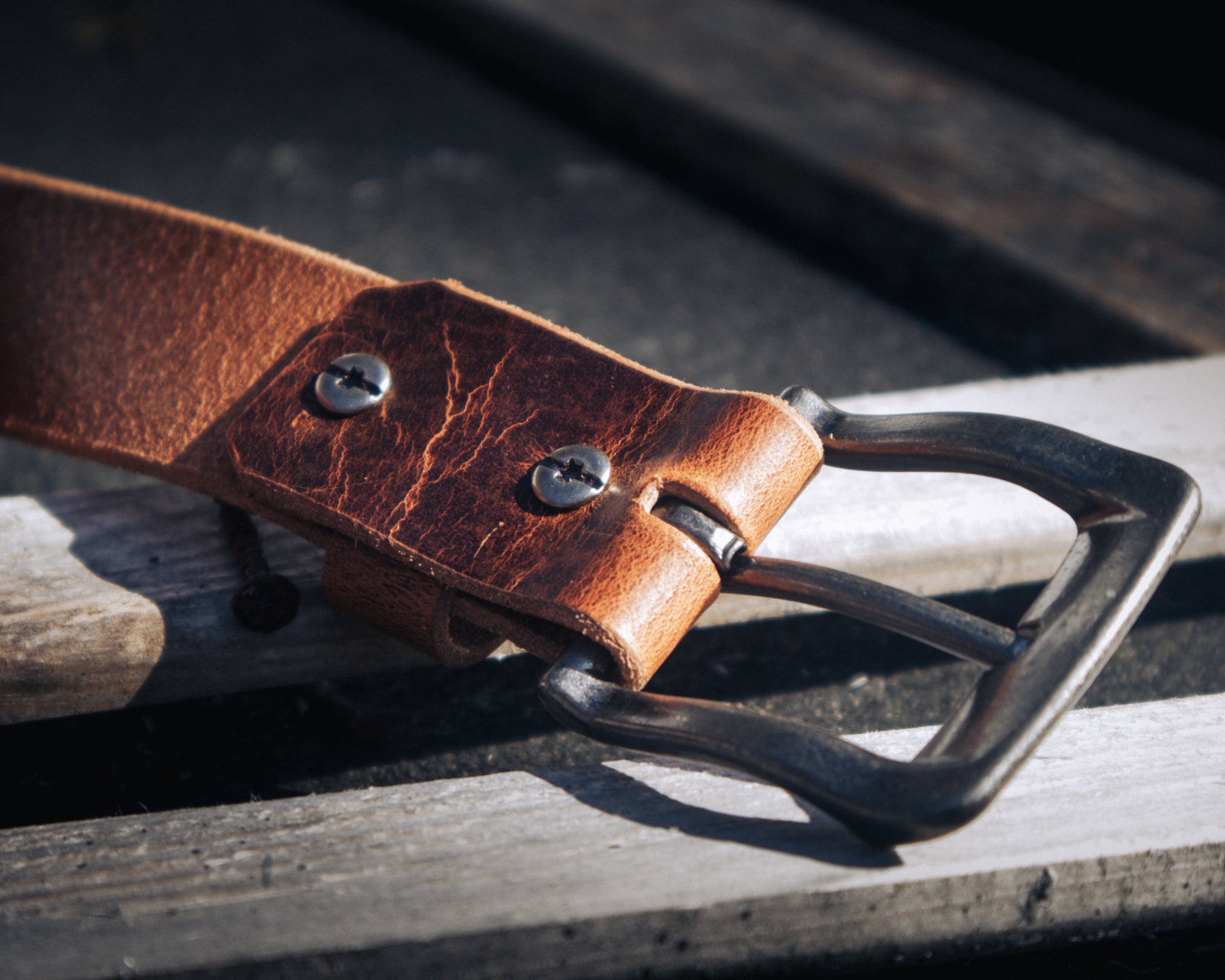 Acorn - Outback Belt