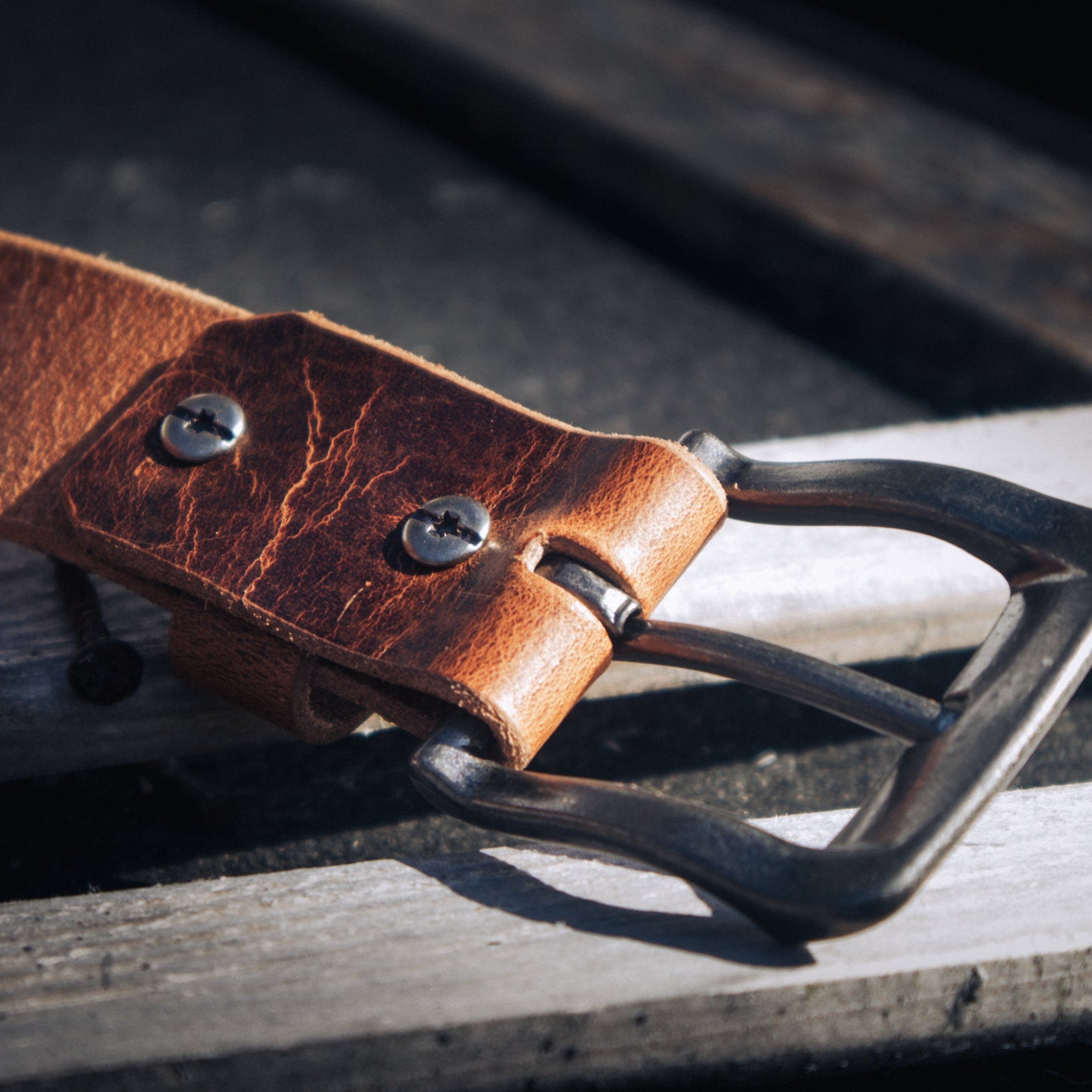 Acorn - Outback Belt