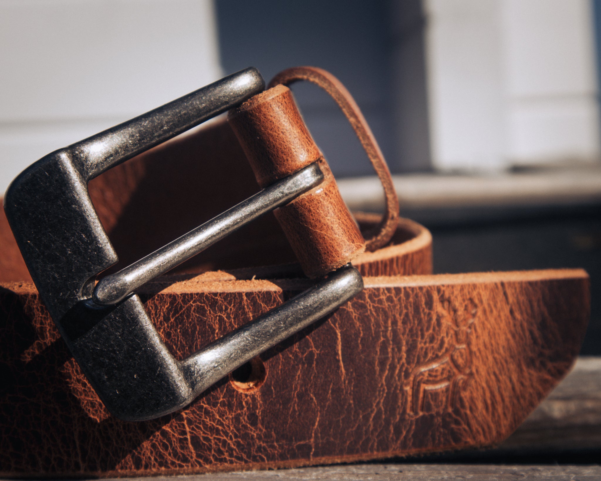 Acorn - Outback Belt