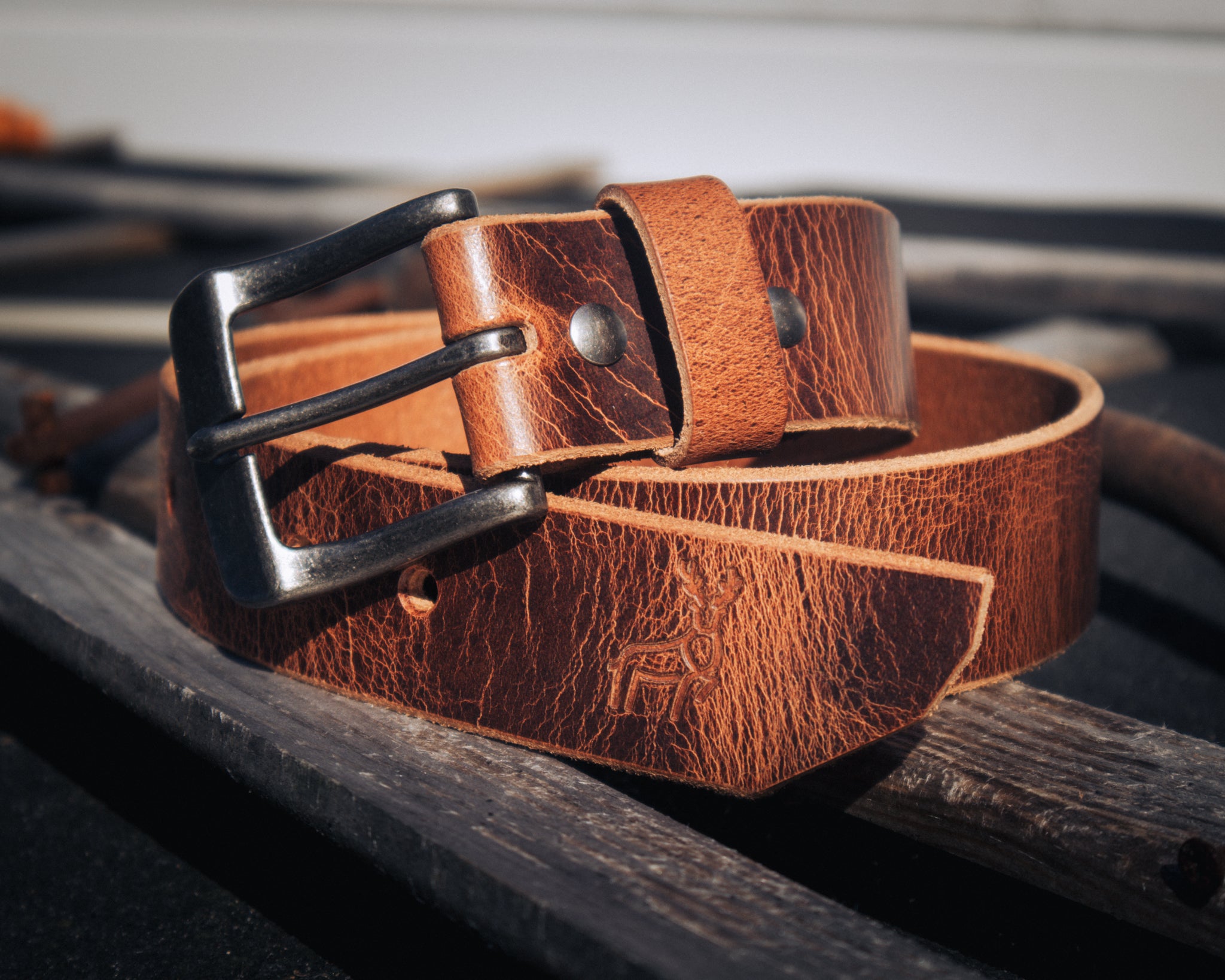 Acorn - Outback Belt