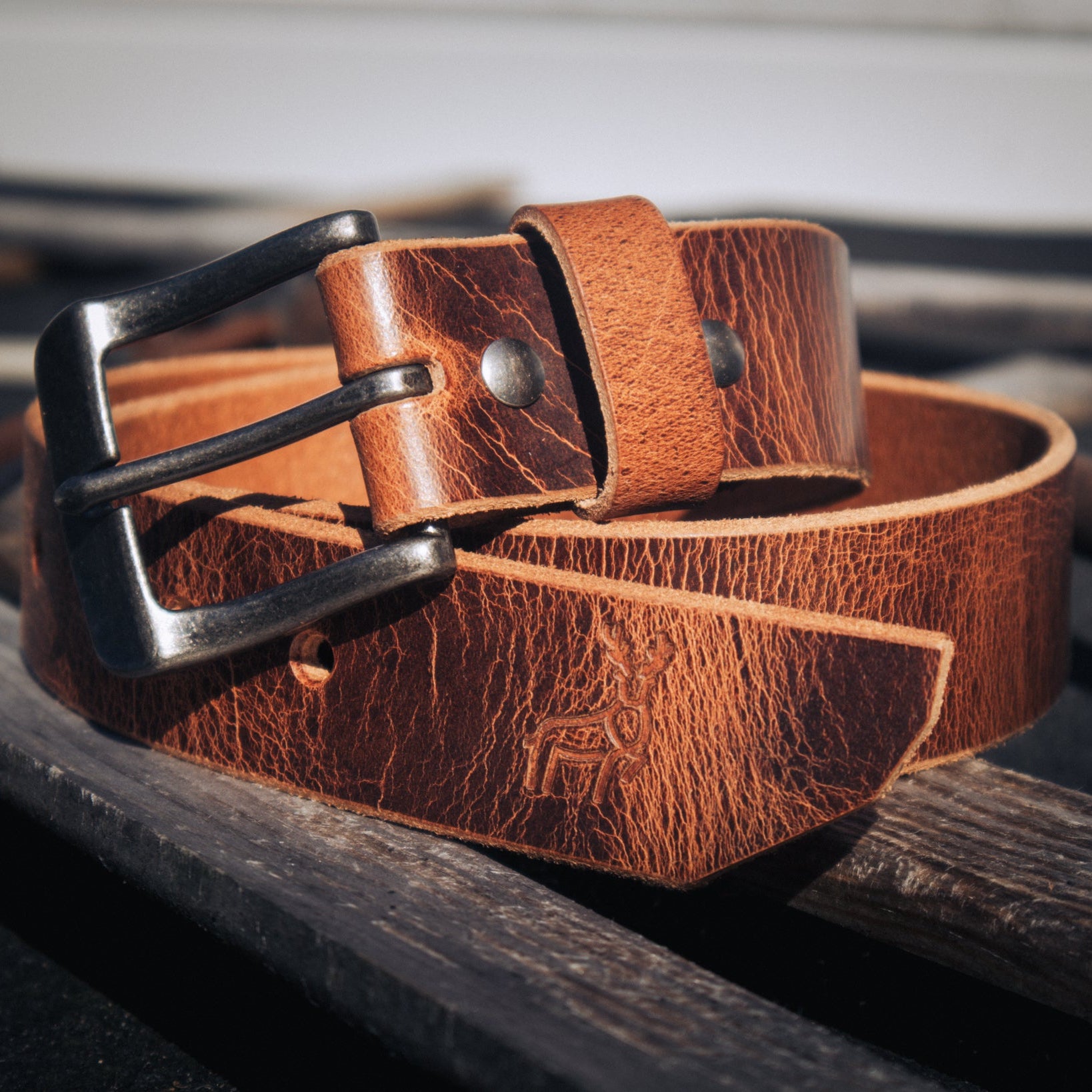 Acorn - Outback Belt