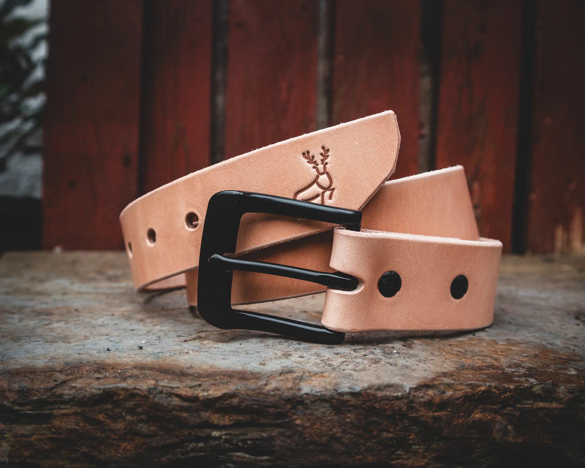 RANGER V1 - CLEARANCE