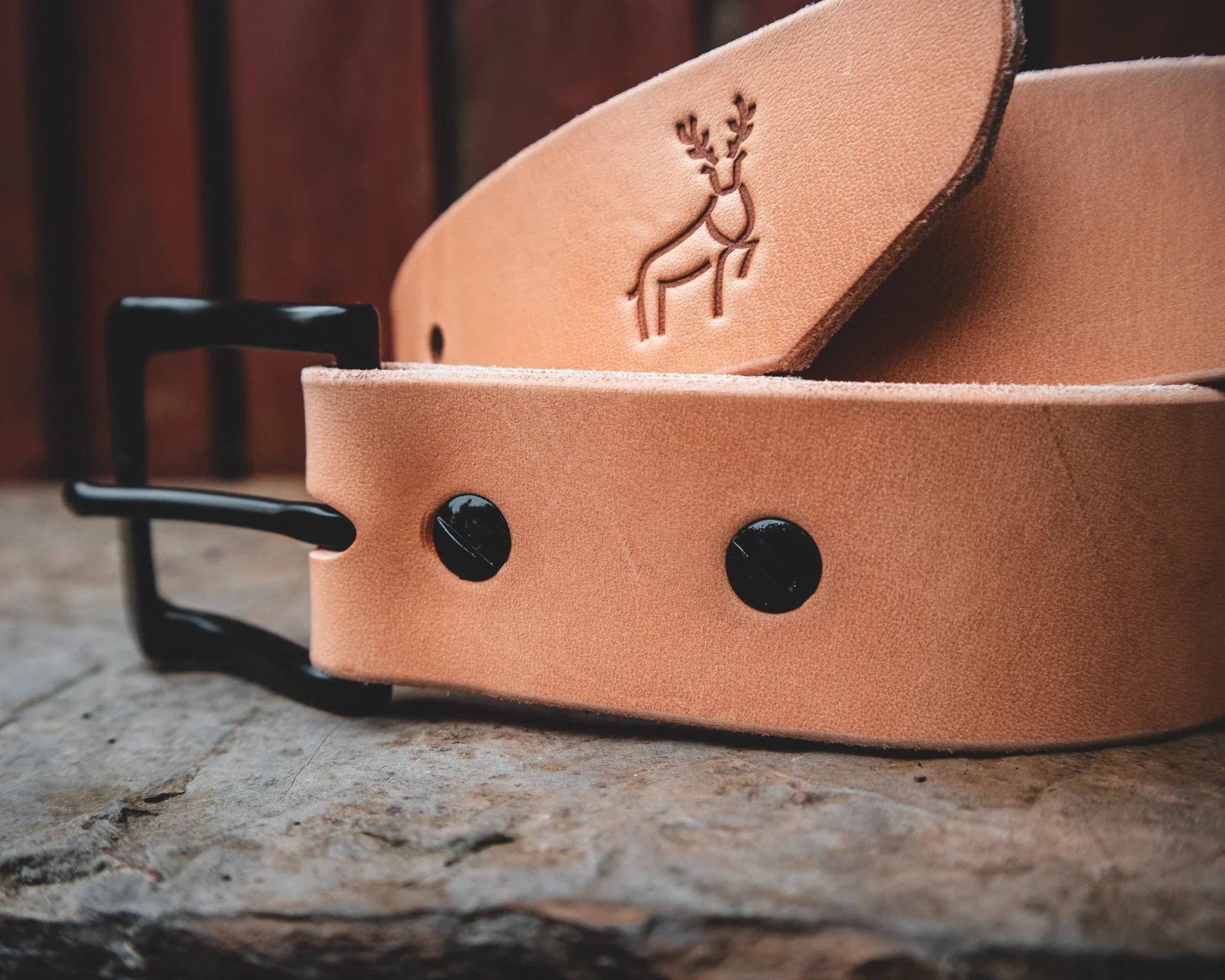 RANGER V1 - CLEARANCE