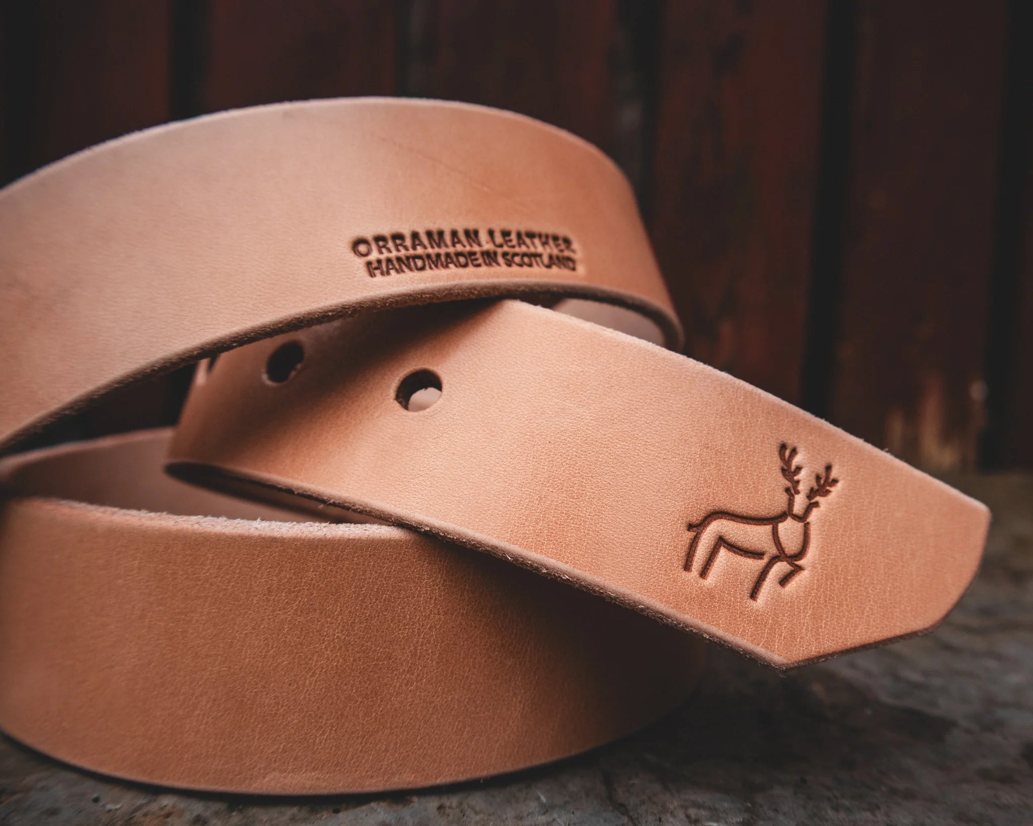 RANGER V1 - CLEARANCE