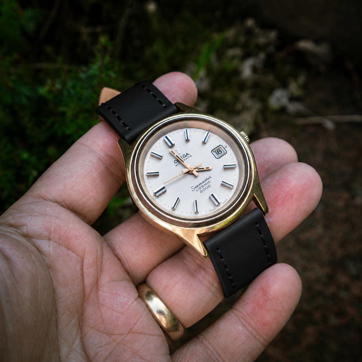 Chieftain Watch Strap