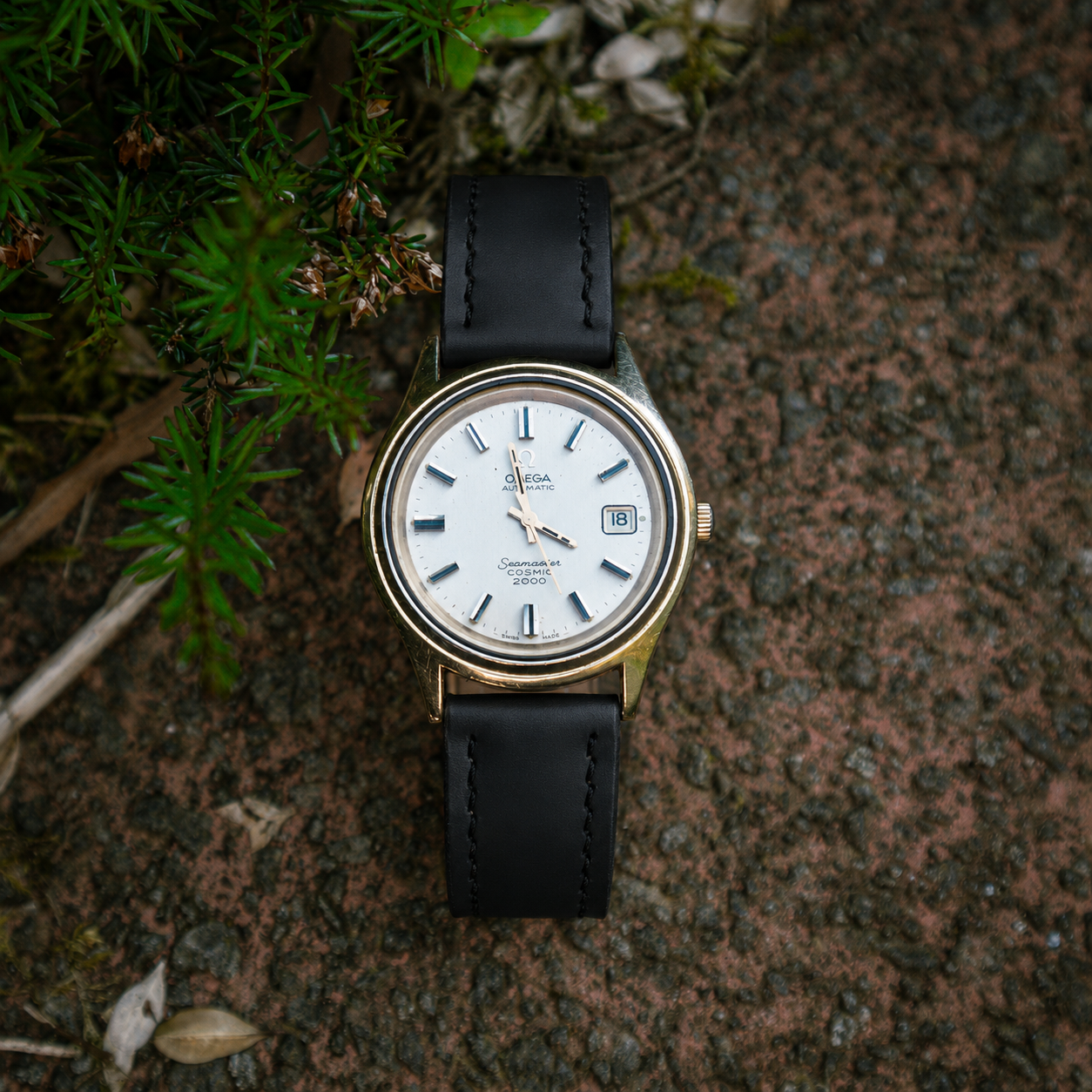 Chieftain Watch Strap