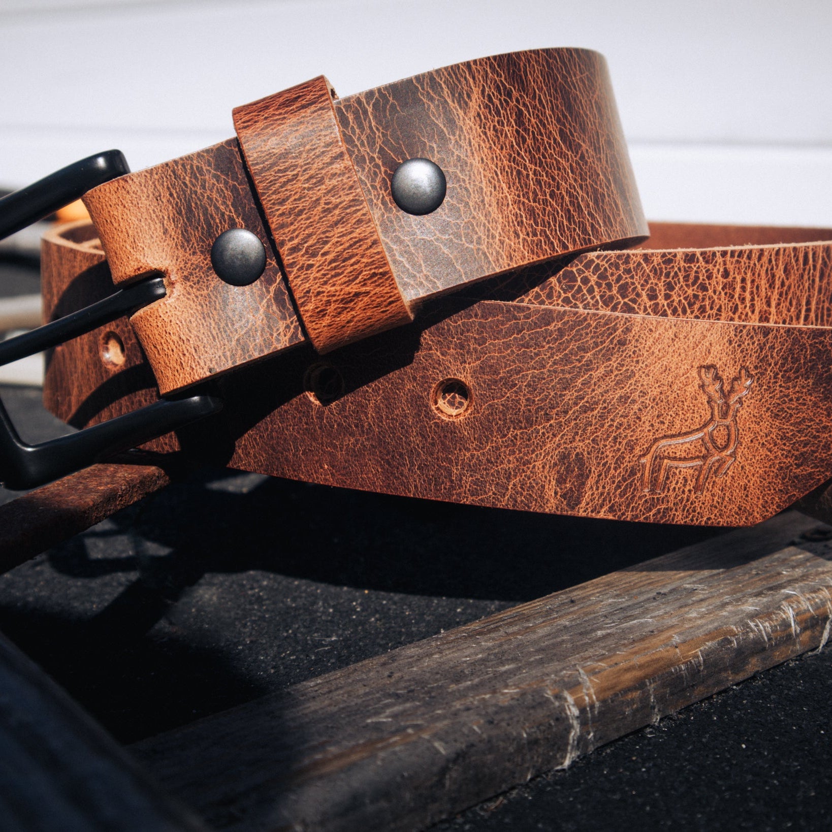 Acorn - Outback Belt