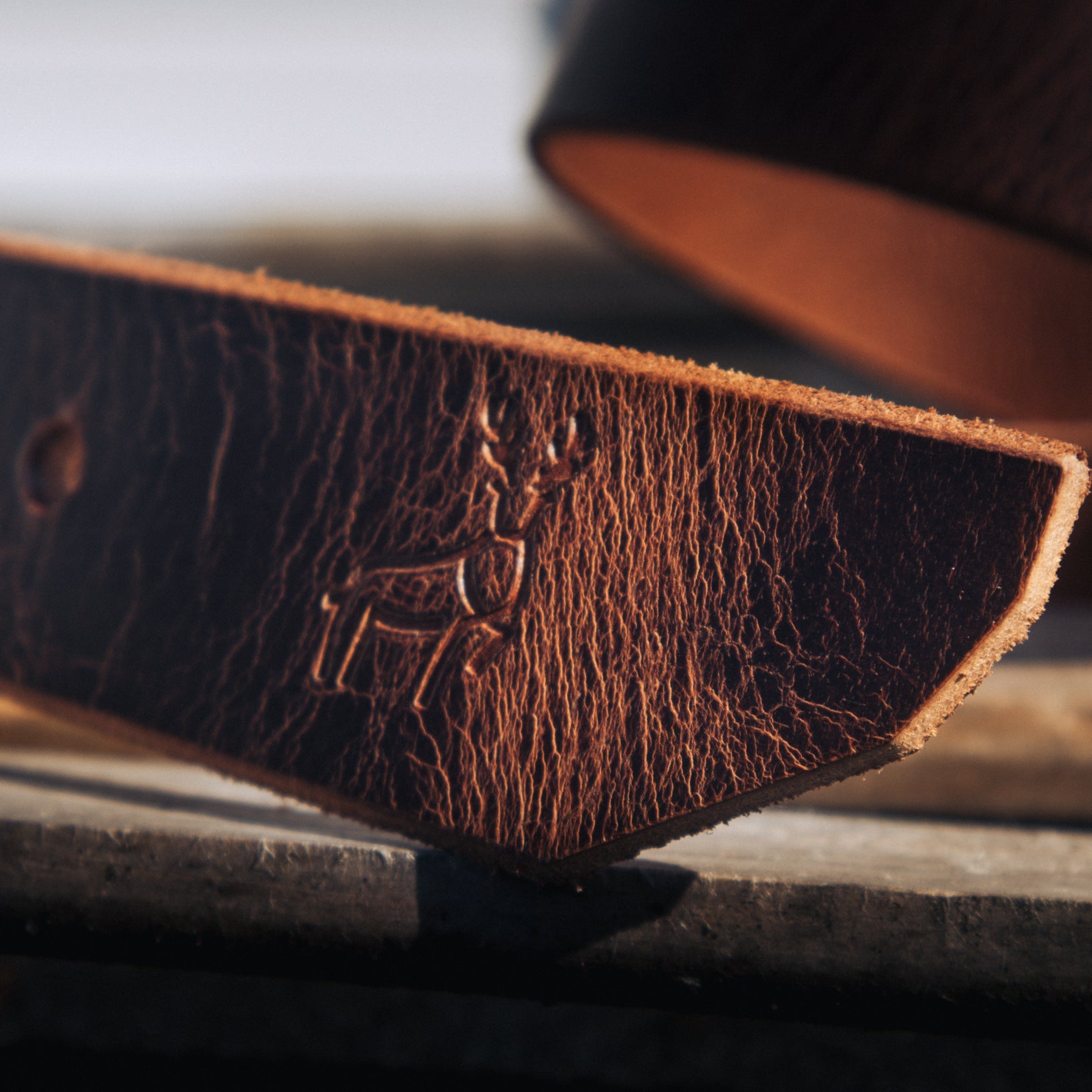 Acorn - Outback Belt