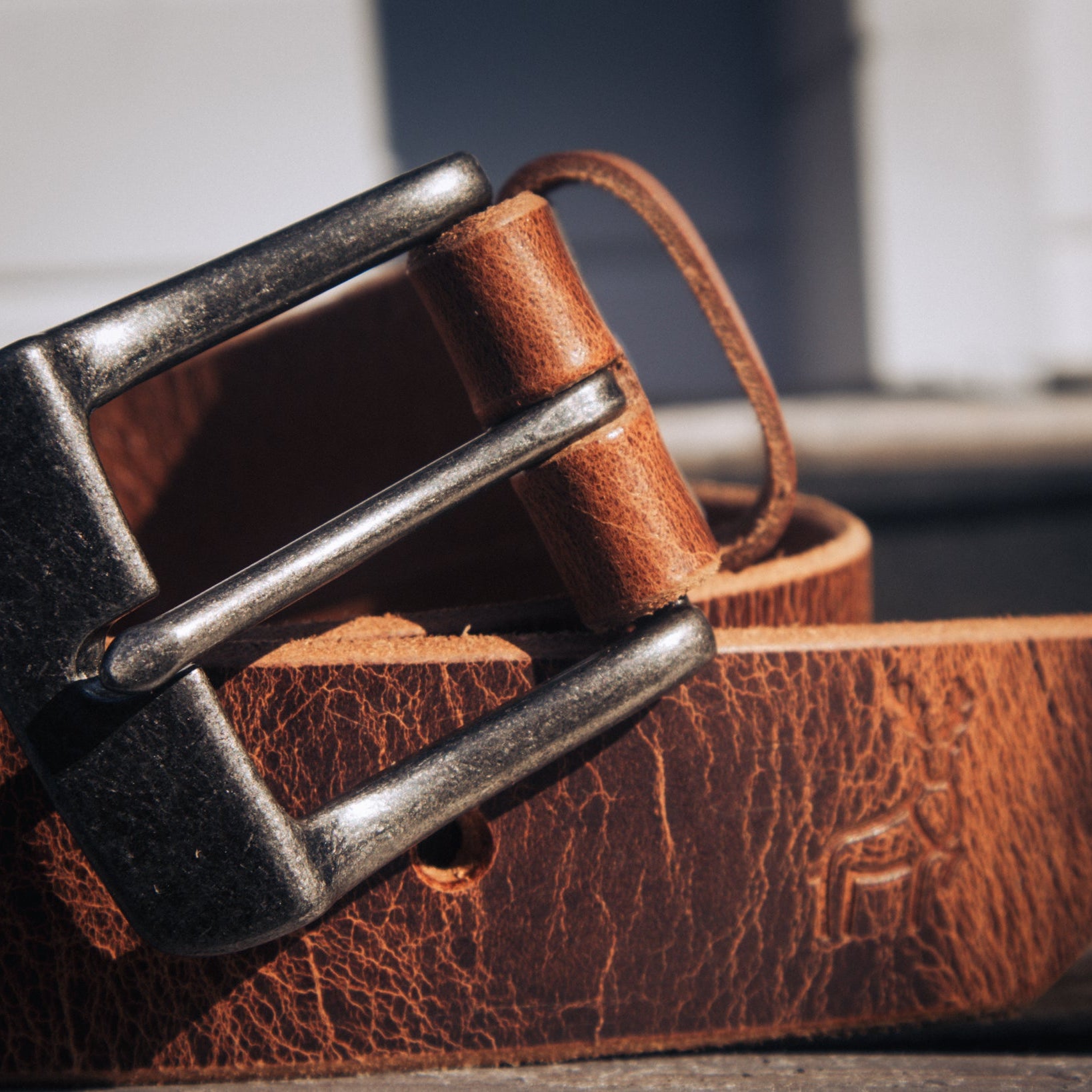 Acorn - Outback Belt