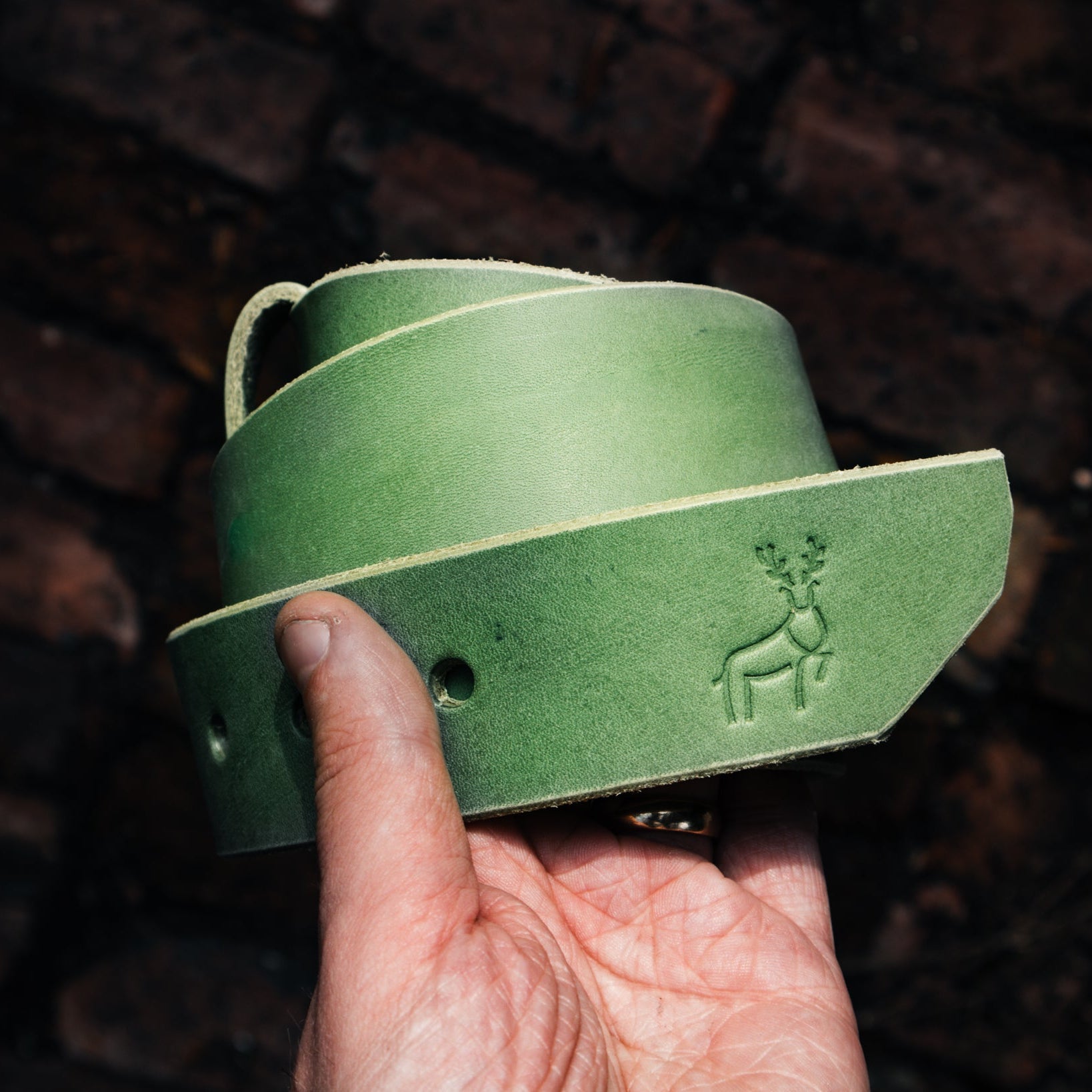 The Forester Belt