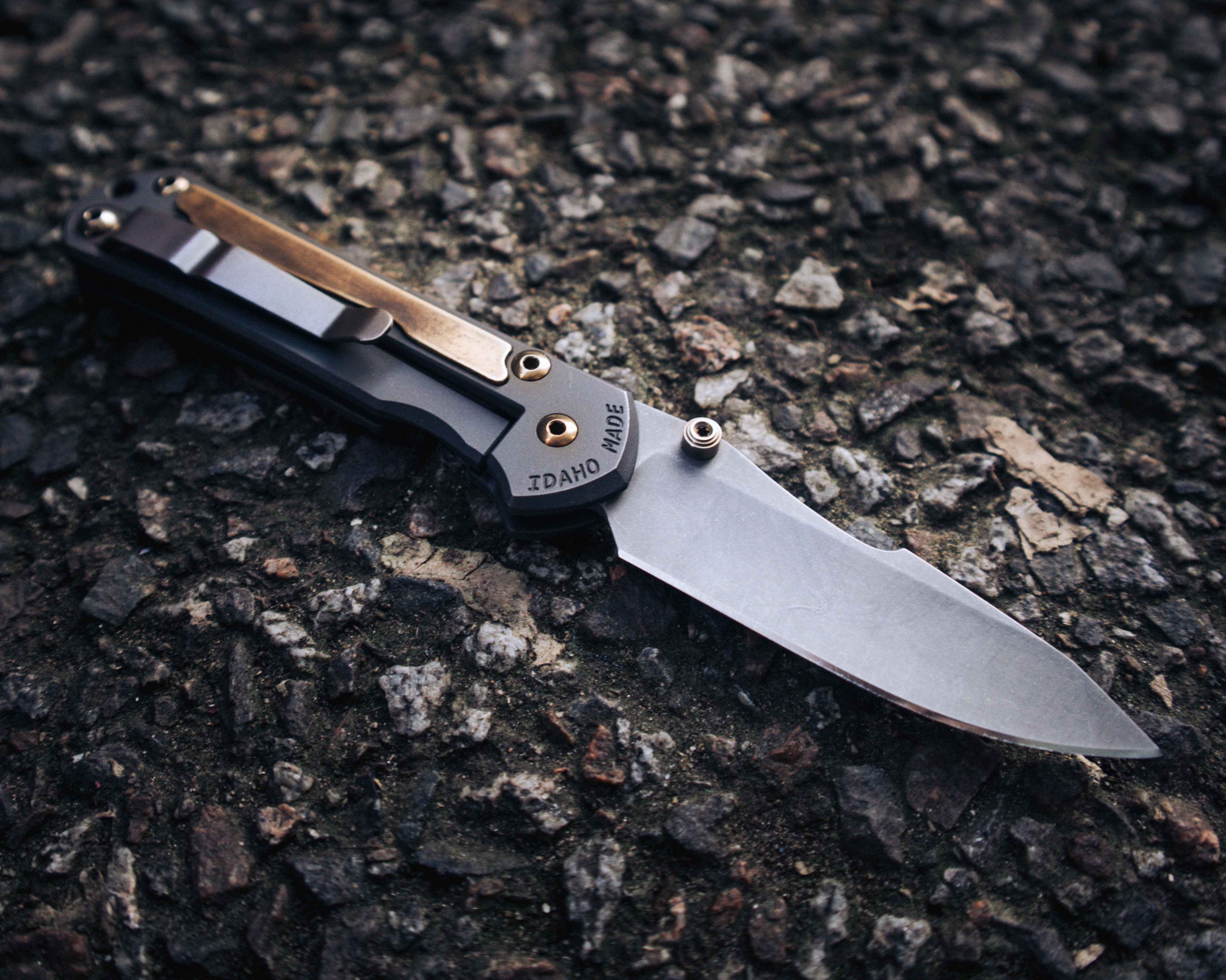Custom Chris Reeve Sebenza 31